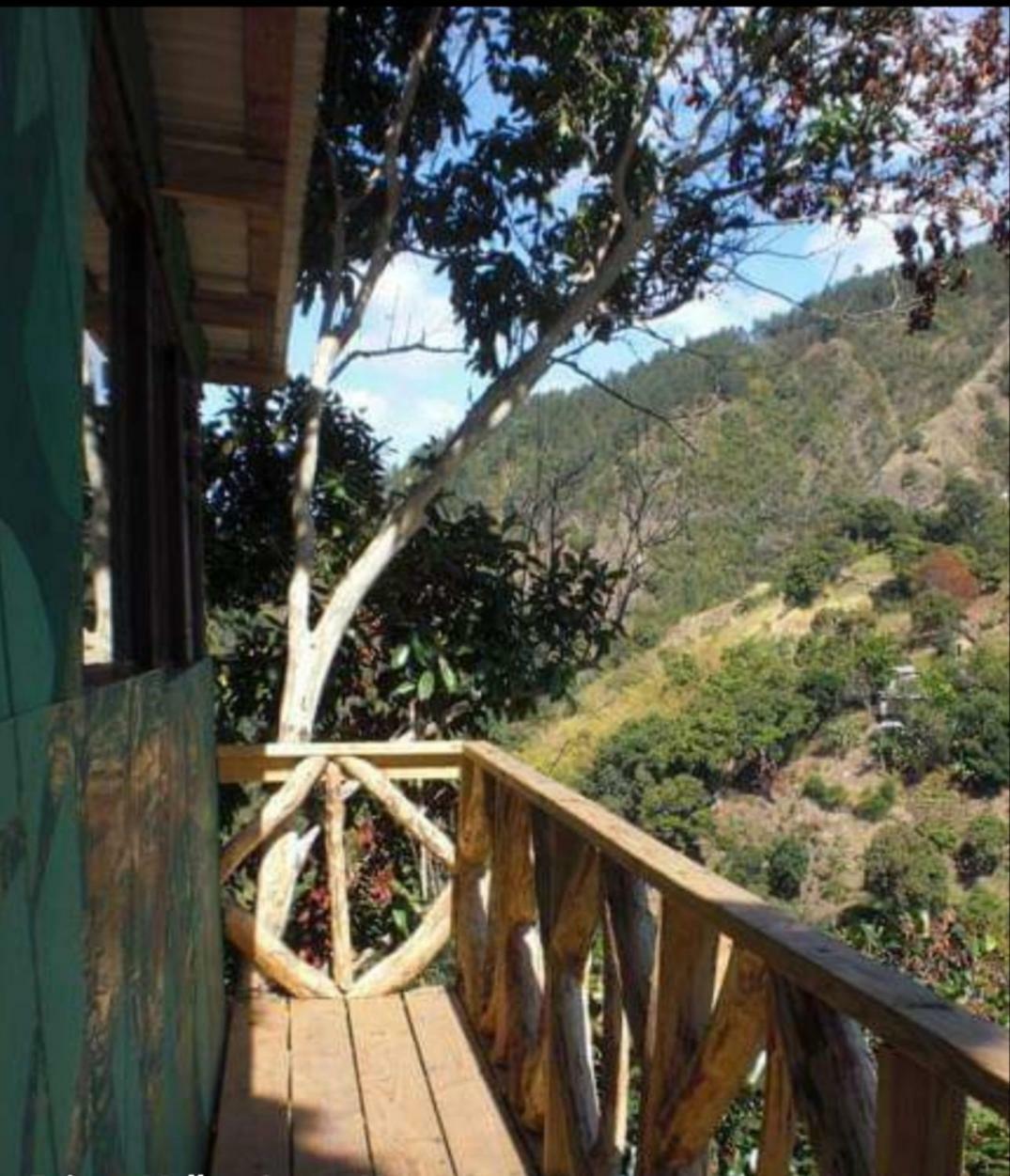 Prince Valley Guesthouse Irish Town Exterior photo